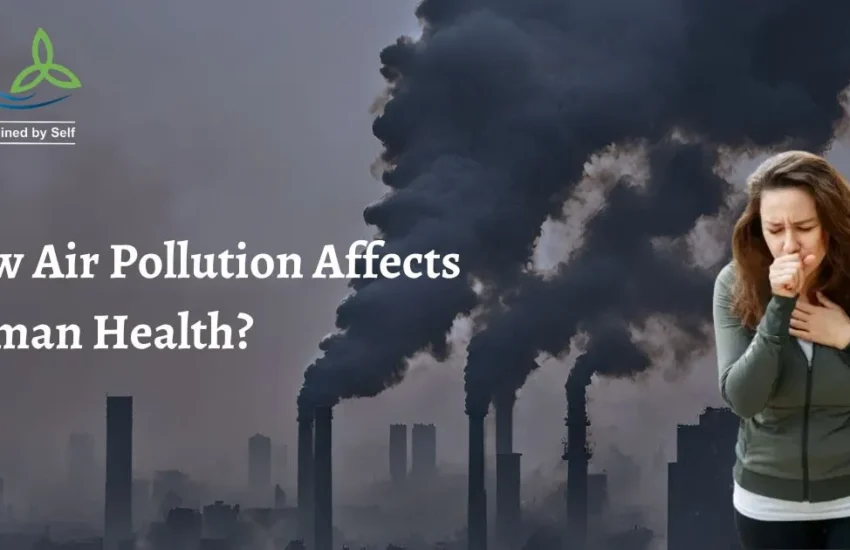 Negative Impact of Air pollution on Human Health by Infuse Your Life