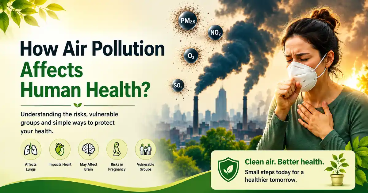How air pollution affects human health including lungs, heart and overall wellbeing